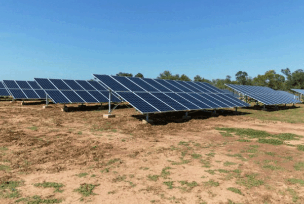 Parque Solar en impenetrable chaqueño